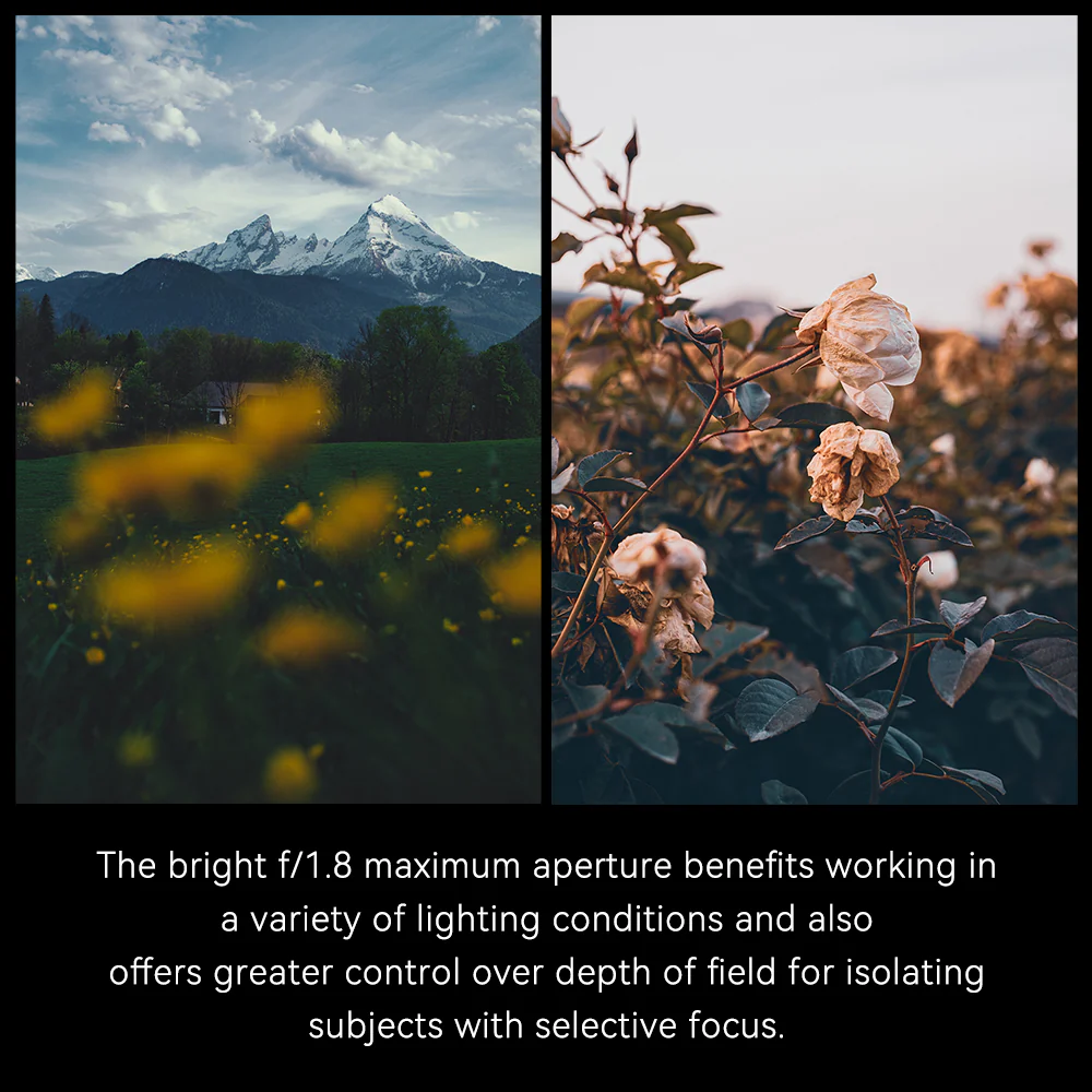 MF 25mm f/1.8 APS-C lens for E/M43/FX/Z - Image 7