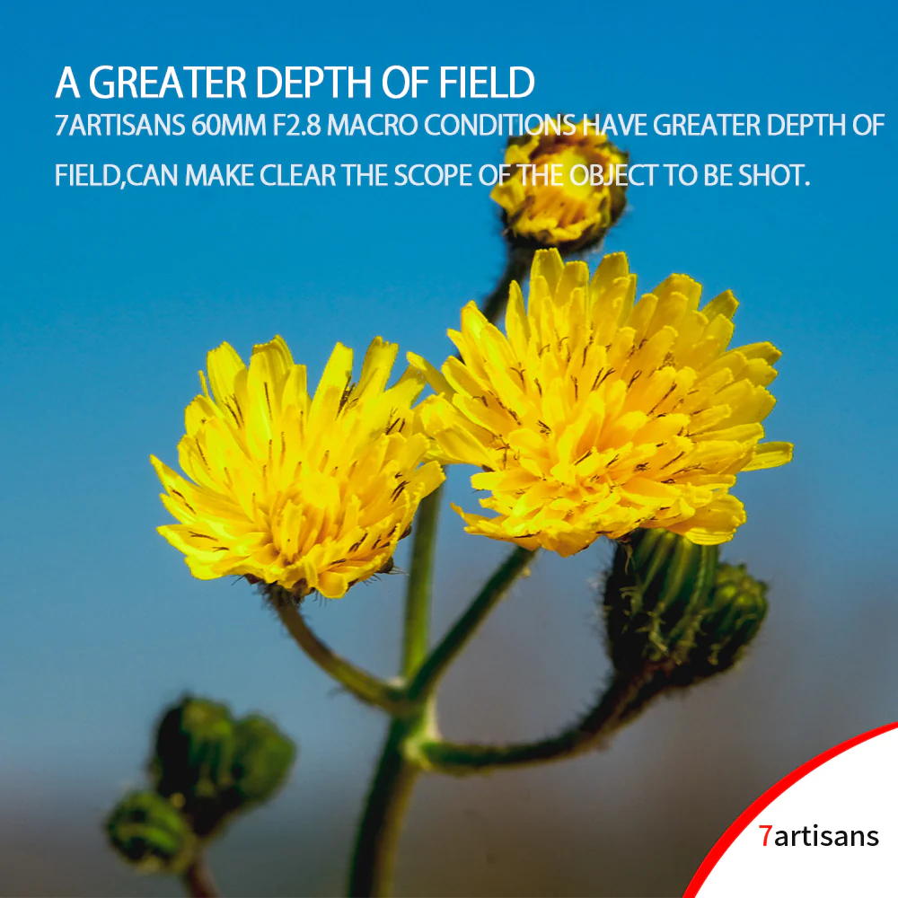 MF 60mm f/2.8 APS-C lens for E/EOS-M/FX/M43 - Image 14