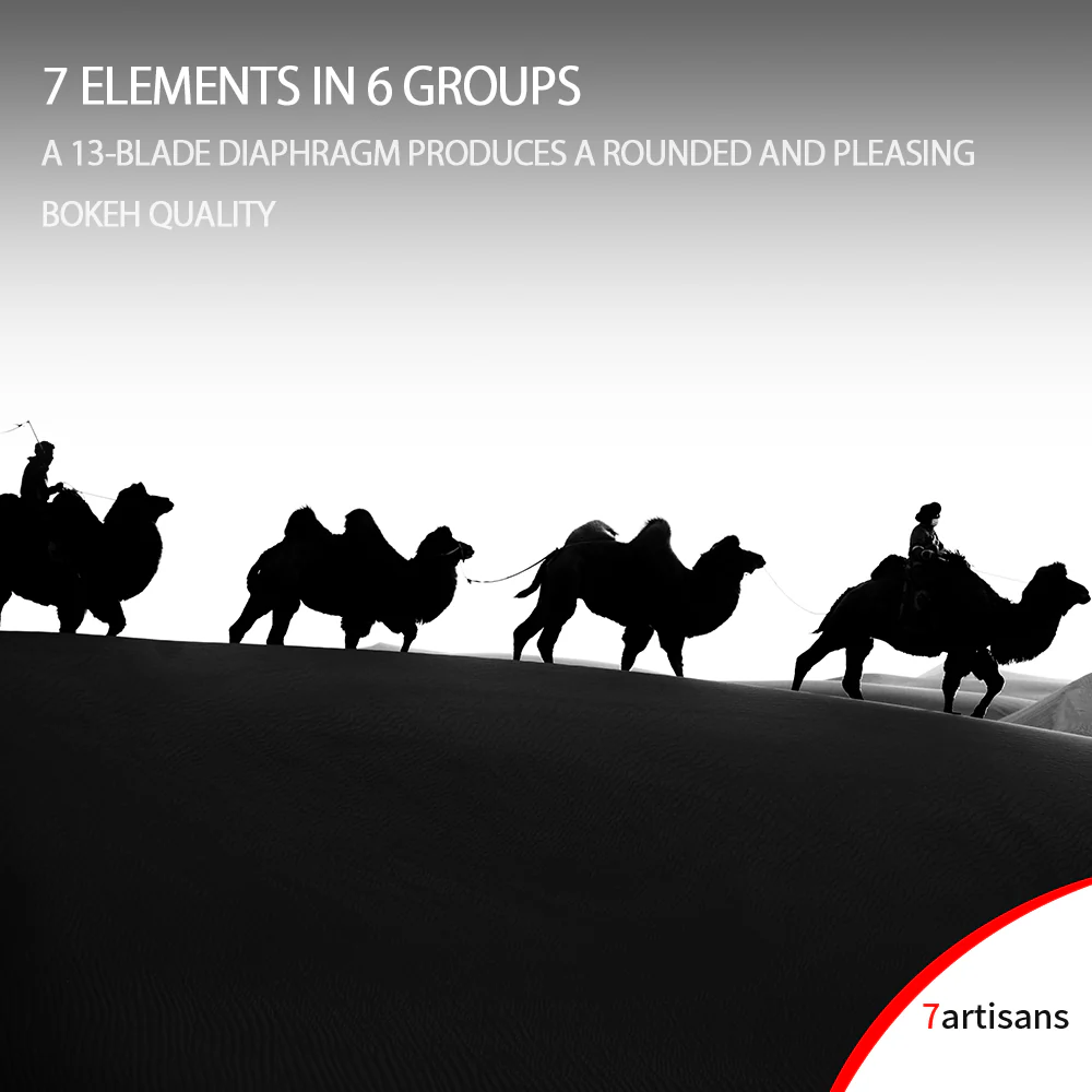 M75mm f/1.25 Full-frame lens for Leica M - Image 11